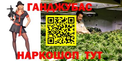 гидра Шелехов