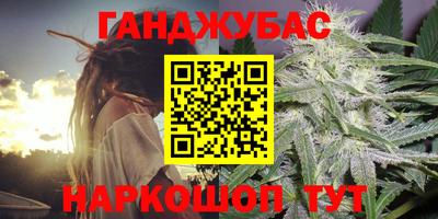 гидра Шелехов