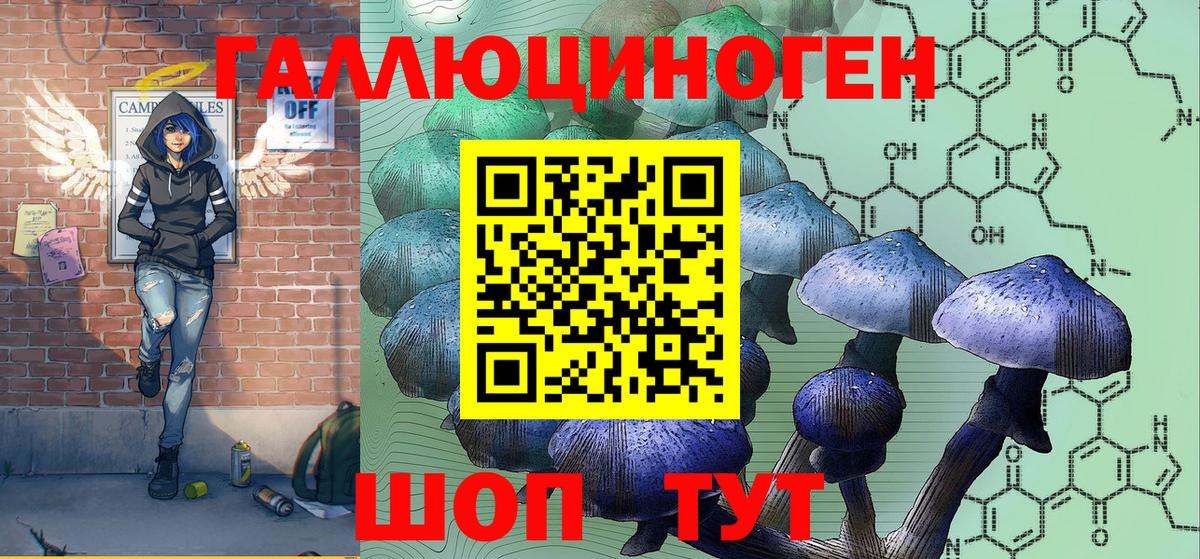 Галлюциногенные грибы Psilocybine cubensis Норильск