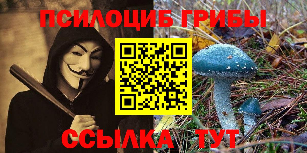 Норильск  Галлюциногенные грибы MAGIC MUSHROOMS  Вход с VPN  Псилоцибиновые грибы Cubensis 